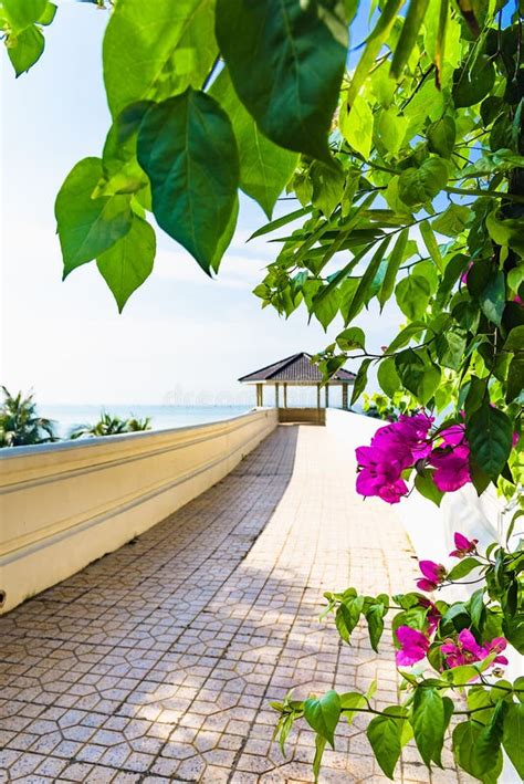 Paradise Resort Road Promenade Stock Image Image Of Palm Activities