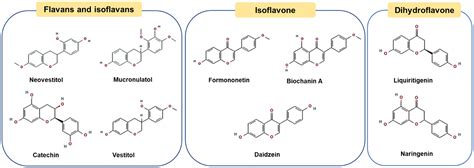 Frontiers Propolis Polyphenols A Review On The Composition And Anti