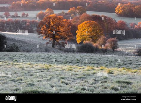 Kent Sussex Border Hi Res Stock Photography And Images Alamy