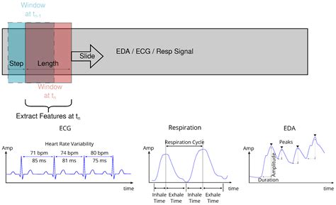 JSAN Free Full Text Enhancing Mental Fatigue Detection Through