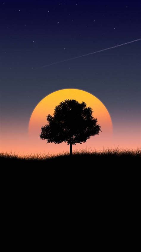 Sunset Tree Silhouette iPhone Wallpaper HD | วอลเปเปอร์สวย ๆ