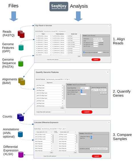 SeqNjoy Complete RNA Seq Workflows In Your Desktop