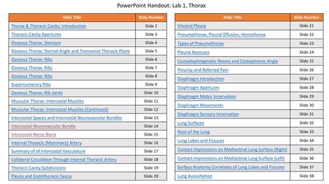 Thorax Anatomy Ppt