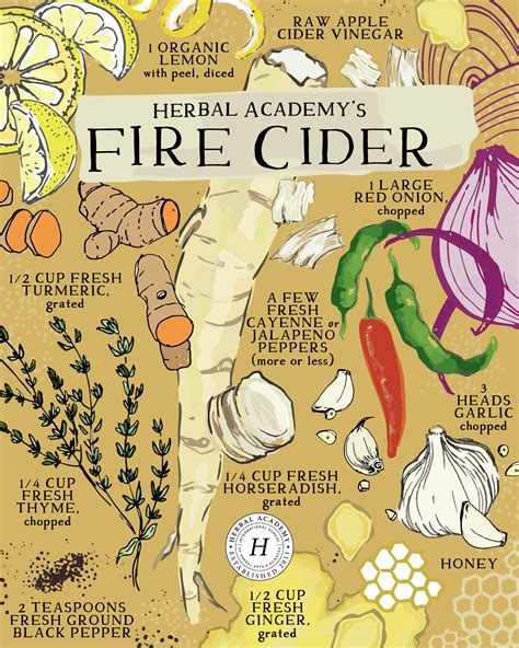 How To Make Homemade Fire Cider With Video Herbal Academy