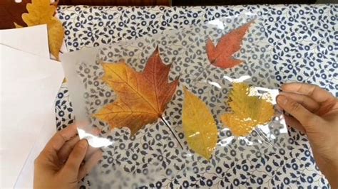 Laminated Leaves For Fall Crafts No Laminator Needed 5 Steps With