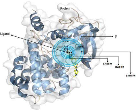 Frontiers Se Onionnet A Convolution Neural Network For Protein