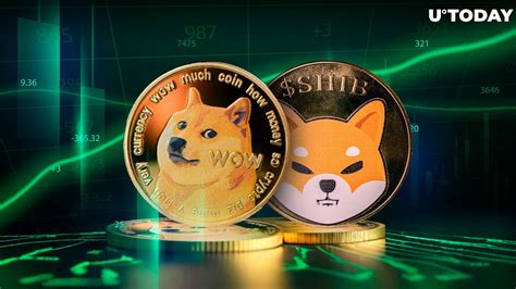 柴犬 Shib 和狗狗幣 Doge 引領 Meme 幣流入 800 億美元 0x資訊