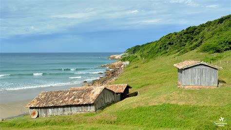 Introduzir Imagem Praia Do Rosa Norte Onde Fica Br Thptnganamst