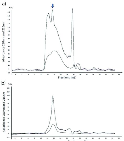 Elution Profile From Superdex 75 Fplc System A First Run Download Scientific Diagram