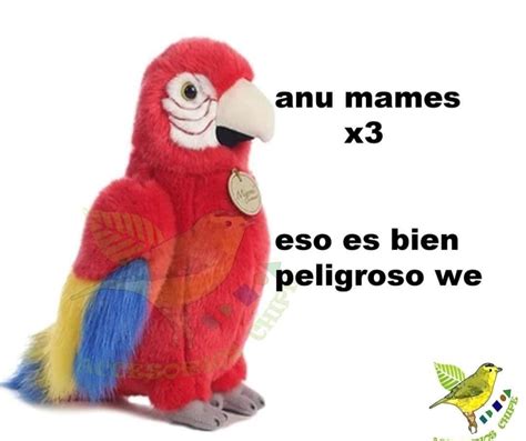 Pin De Yaretzi En Stickers En 2022 Imágenes Divertidas Memes