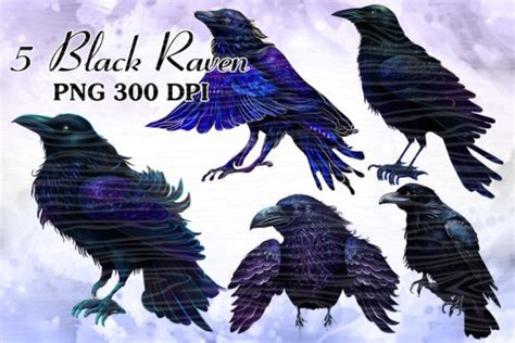 Black Raven Watercolor Clipart Graphic By Cat Lady Creative Fabrica