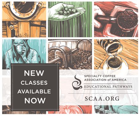 Coffee College Sweetwater Organic Coffee