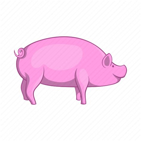 Pig Meat Png