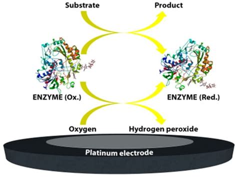 Sensors Free Full Text A Critical Review Of Electrochemical Glucose Sensing Evolution Of