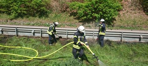 Feuerwehr VG Lambrecht Flächenbrand B1