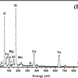 X Ray Photoelectron Spectroscopy XPS Analysis For N MWCNTs