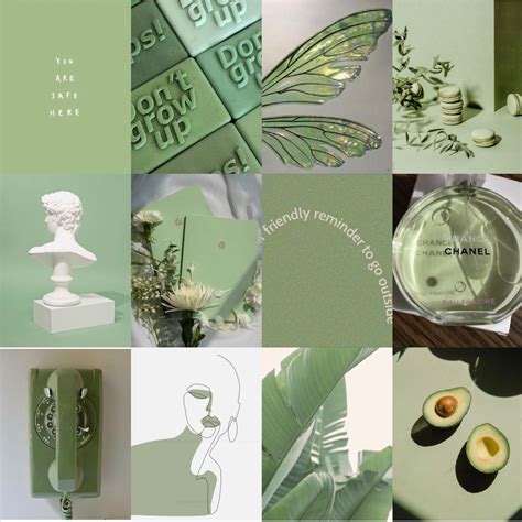 Sage Green Matcha Green Wall Collage Kit Sage Aesthetic Collage Luxury