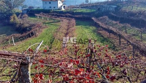 Maison Rustique 2 Pièces Acheter 130 000 à Marco de Canaveses Marco