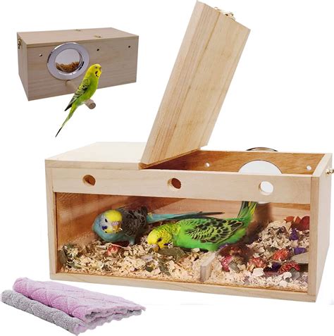 Amazon Kathson Transparent Parakeet Nesting Box Parakeet Breeding