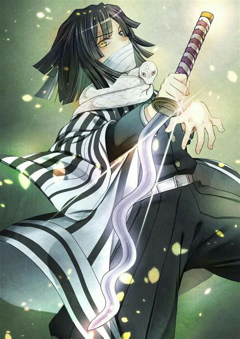 Obanai Iguro X Reader Chapitre 1 Wattpad