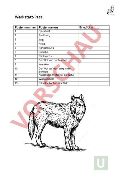 Arbeitsblatt Wolf Biologie Tiere