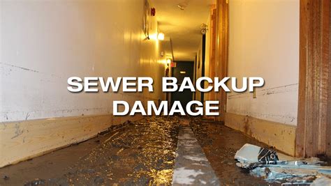 Sewer Backup