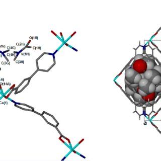 A Coordination Environment Of Co Ii In B Packing Of Viewed