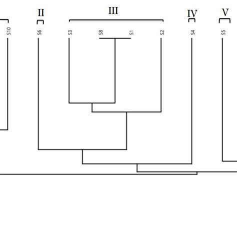 Rapd Pcr Dendrogram Tree Analysis Of H Pylori Isolates By Using