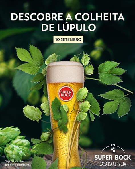 Colheita de Lúpulo é a nova sugestão da Super Bock Casa da Cerveja