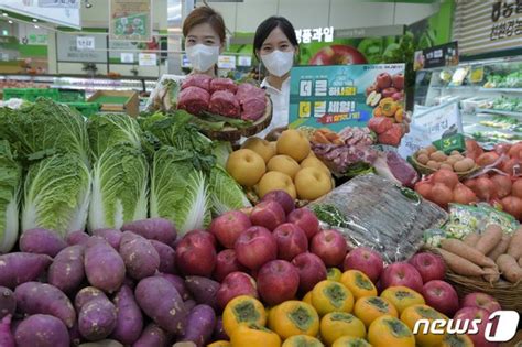 농협유통 통합법인 출범 1주년 기념 할인 행사 네이트 뉴스