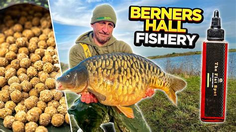 Winter Carp Fishing VLOG At Berners Hall Fishery Essex UK YouTube