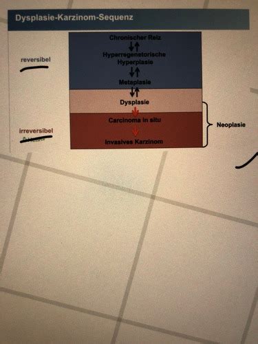 Patho Karteikarten Quizlet