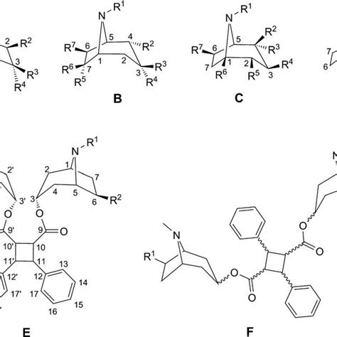 Standard Substitution Patterns Of Tropane Alkaloids Download