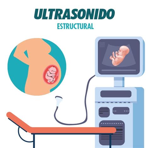 Ultrasonido Estructural Laboratorio M Dico Samalab