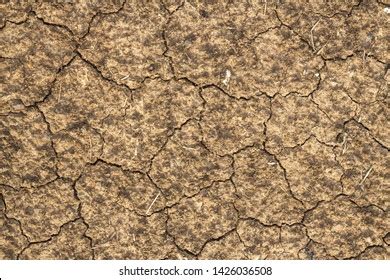 Cracked Soil Texture Background Ground Earth Stock Photo 1426036508