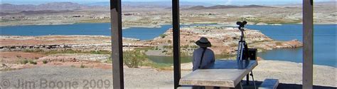 Birding Around Las Vegas Lake Mead Area Las Vegas Wash