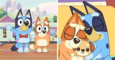 Bluey Season 4 Release Date The Much Awaited Bluey Season 4 Is On Its Way And Everyone Is