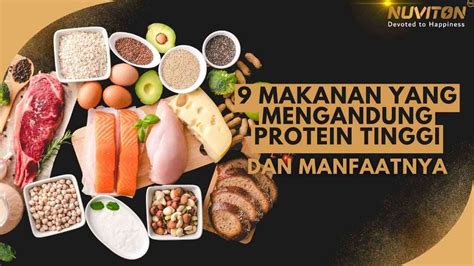 makanan  mengandung protein tinggi  manfaatnya