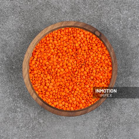 masur lentil inmotion impex