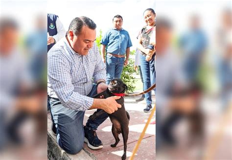 Ayuntamiento de Mérida promueve la adopción responsable de perros y gatos