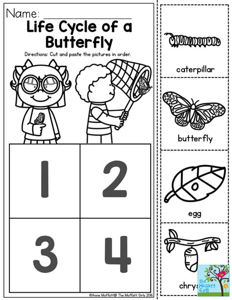 Butterfly Life Cycle Activities For Kids