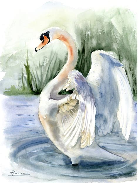 Swan #2 Watercolour by Olga Tchefranov (Shefranov) | Artfinder