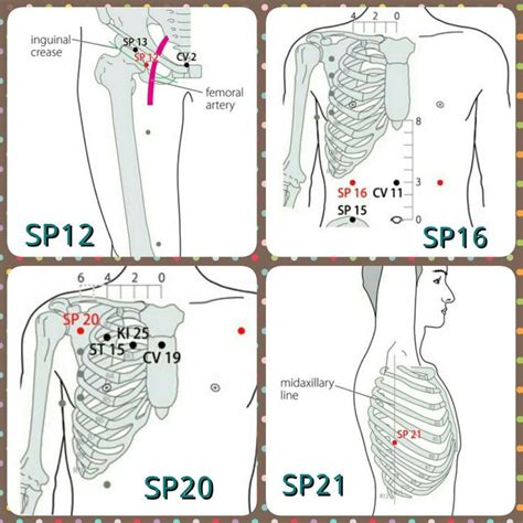 Some Spleen Channel Points Acupressure Points Acupuncture Acupressure