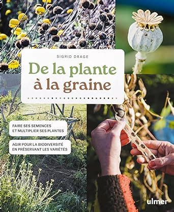 De La Plante A La Graine Faire Ses Semences Et Multiplier Ses Plantes