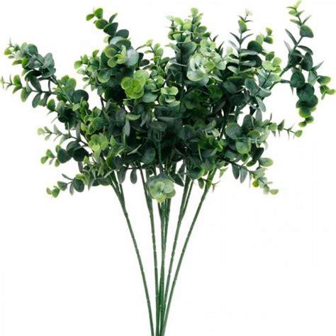 Floristik Be Branche D Eucalyptus D Corative Vert Fonc Eucalyptus