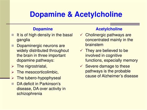 Ppt The Central Nervous System Powerpoint Presentation Free Download