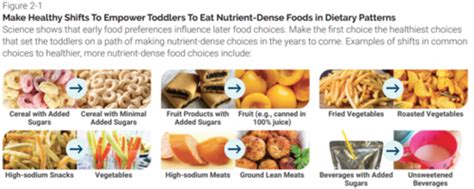 Nutrition Exam 1 Flashcards Quizlet