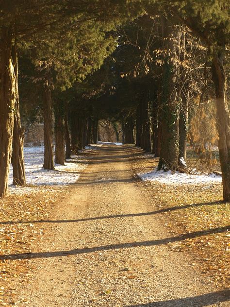 Chemin Route De Campagne Photo Gratuite Sur Pixabay Pixabay