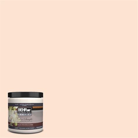 Behr Premium Plus Ultra Oz C Champagne Ice Interior Exterior