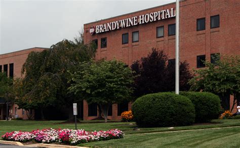 brandywine_hospital_brandywine_health_foundation - VISTA.Today